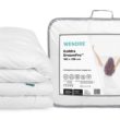 Wendre_dream_pro_zestaw_rulon DreamPro™ – nowa generacja profesjonalnych kołder i poduszek od marki Wendre